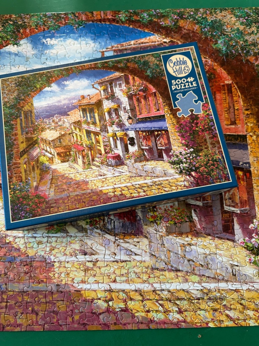 500 piece VERY HARD puzzle large piece complete